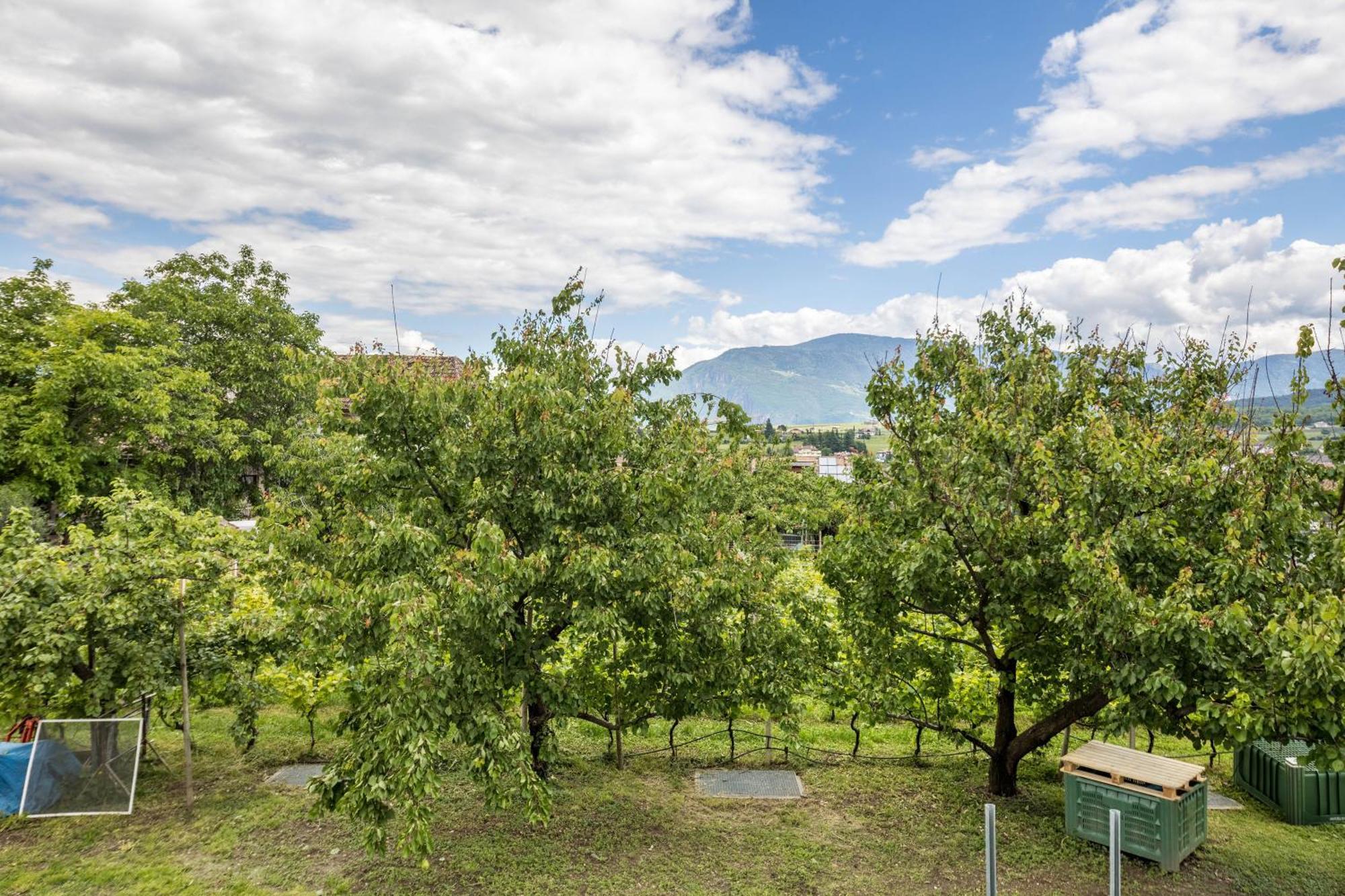 Angerblick Apartment Appiano Sulla Strada Del Vino Zewnętrze zdjęcie