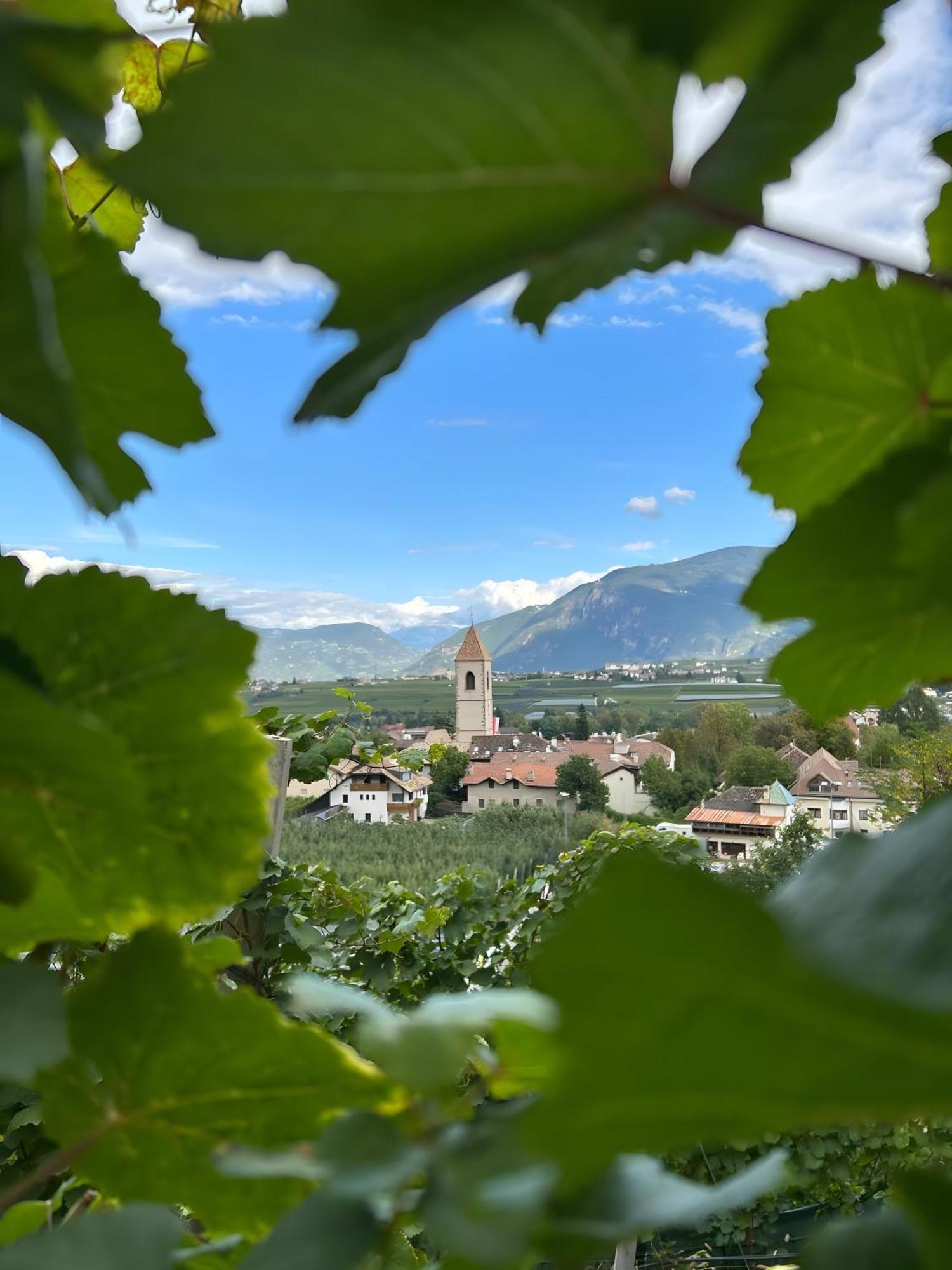 Angerblick Apartment Appiano Sulla Strada Del Vino Zewnętrze zdjęcie